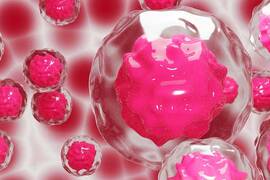 Stem cell research for hair growth: a cure for alopecia is near